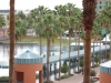 dolphin-resort-dsc_0344